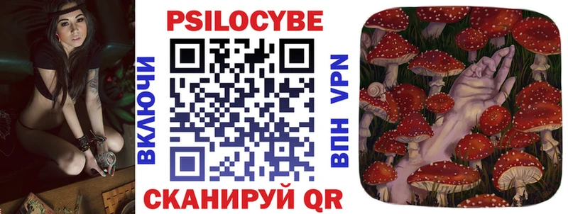 Псилоцибиновые грибы Cubensis  Тогучин 